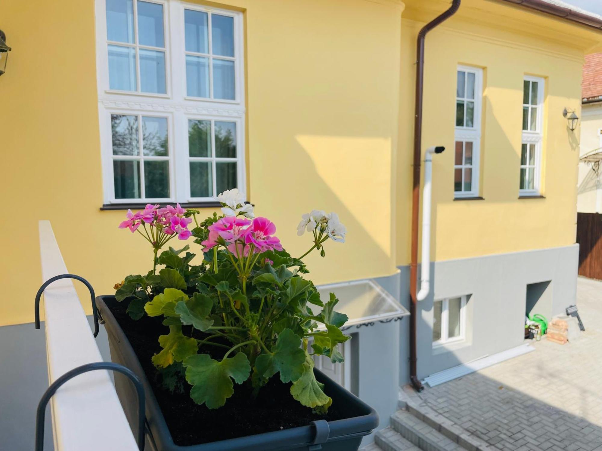 Villabaroque_Eger Eksteriør billede